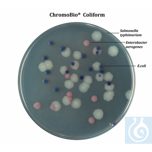 ChromoBio® Coliform, 500 g