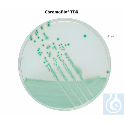 ChromoBio® TBX, 5000g