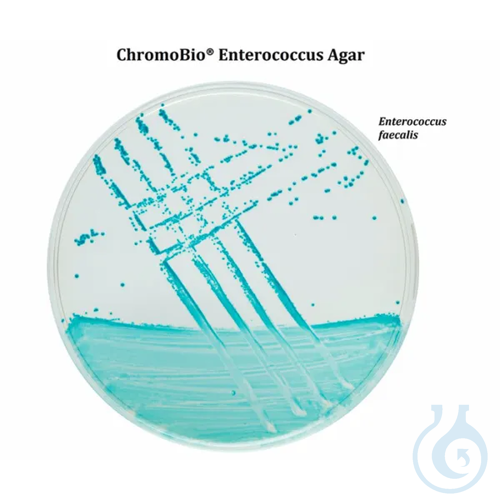 ChromoBio® Enterococcus Agar, 5000g