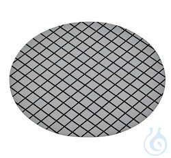 Nalgene™ Membrane and Prefilter Disks