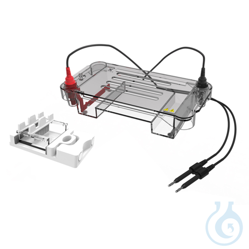 Horizontal electrophoresis system, Volt H70