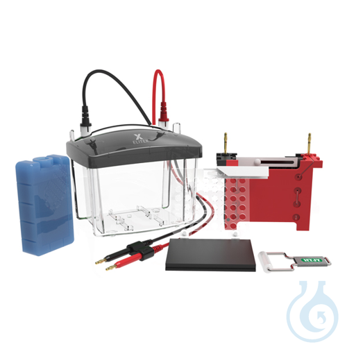Transfer tank, Volt TX90, 4 gels