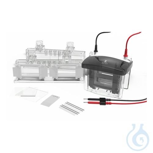 Vertical electrophoresis system, Volt VX80