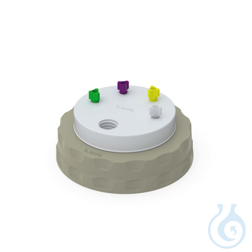 b.safe Waste Cap S90, 4x UNF1/4'', 1x GL14 Screw cap S90 made of PP-grey, insert
