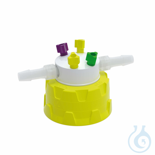 b.safe System Caps GL45, 4x UNF 1/4'', 2x NPT 1/8'' Screw cap GL45 made of PP