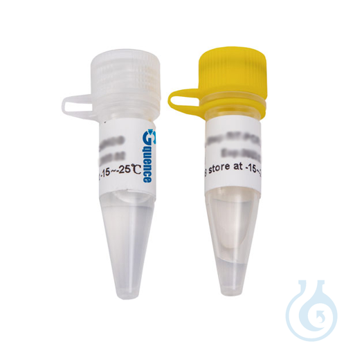 x-VITA PCR Mastermix for long fragments (2X), 100 rxn