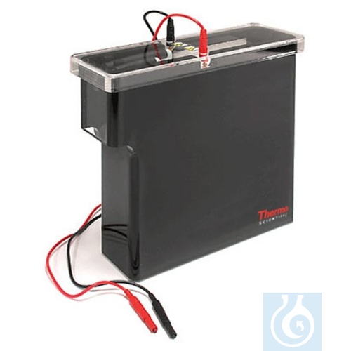 Owl™ VEP-3 Large Tank Electroblotting System Large Tank