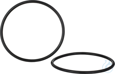 Image of O-ring for VP guard column holder 16 mm - Luminix Health