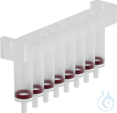 Image of NucleoSpin 8 Blood QuickPure (12x8) - Luminix Health