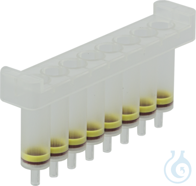 Dummy Strips (6) - Luminix Health