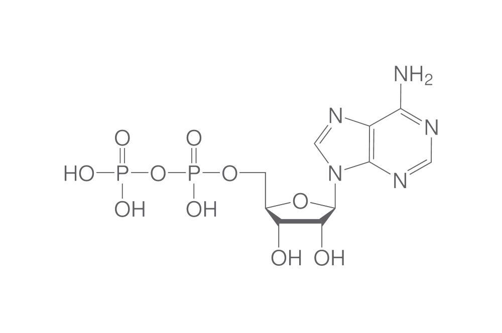 Adenosine diphosphate, min. 97 %, for biochemistry, 100 mg, glass - Luminix Health