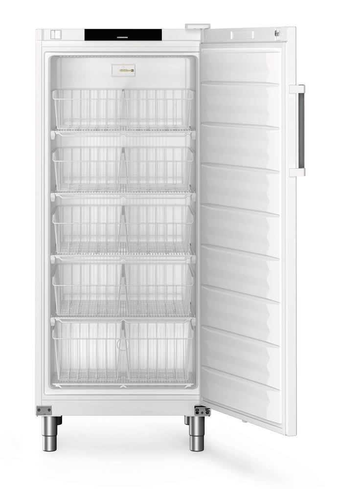 Freezer Performance FFFsg 5501, 289 l, H 1818 mm, -9 to -26 °C, , 1 unit(s) - Luminix Health