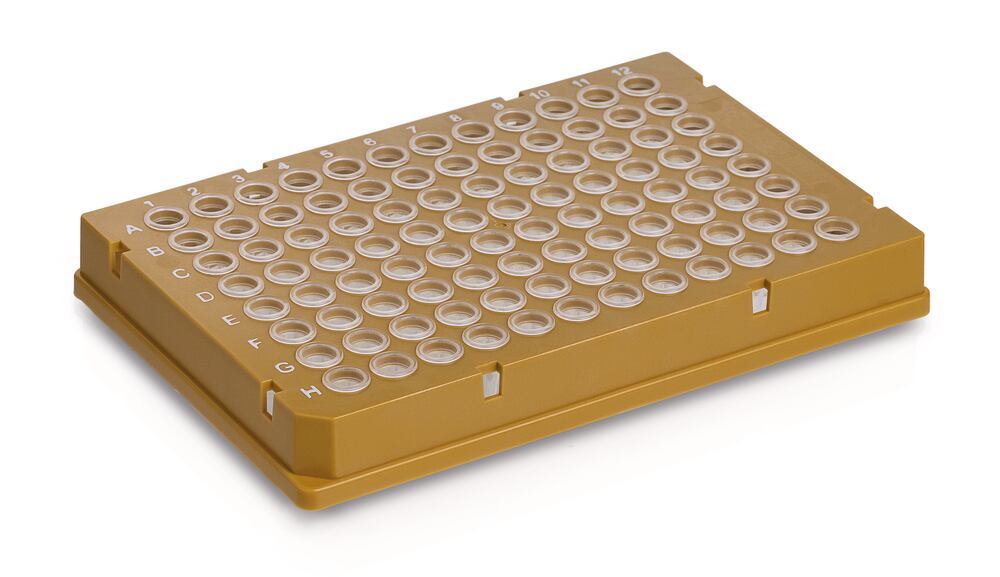 Rigid frame 96 well PCR plate, Low, gold, whole frame, 50 unit(s) - Luminix Health