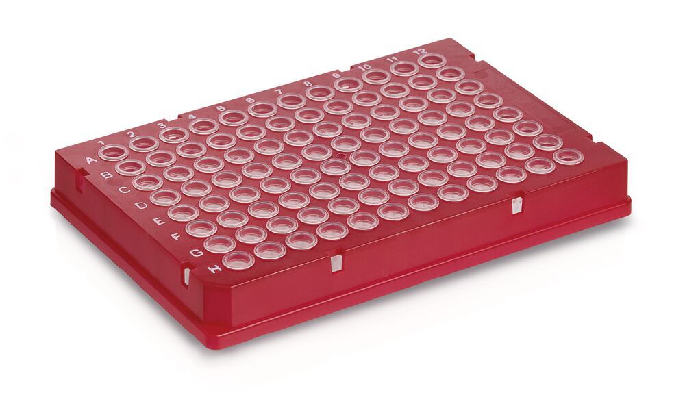 Rigid frame 96 well PCR plate, Low, red, whole frame, 50 unit(s) - Luminix Health