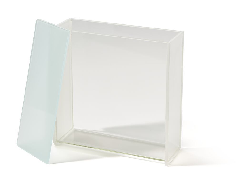 Image of Developing chamber f. TLC