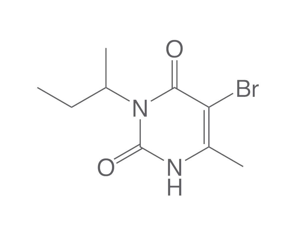 Bromacil, ROTICHROM® Pestilyse® HPLC, 10 mg, glass - Luminix Health