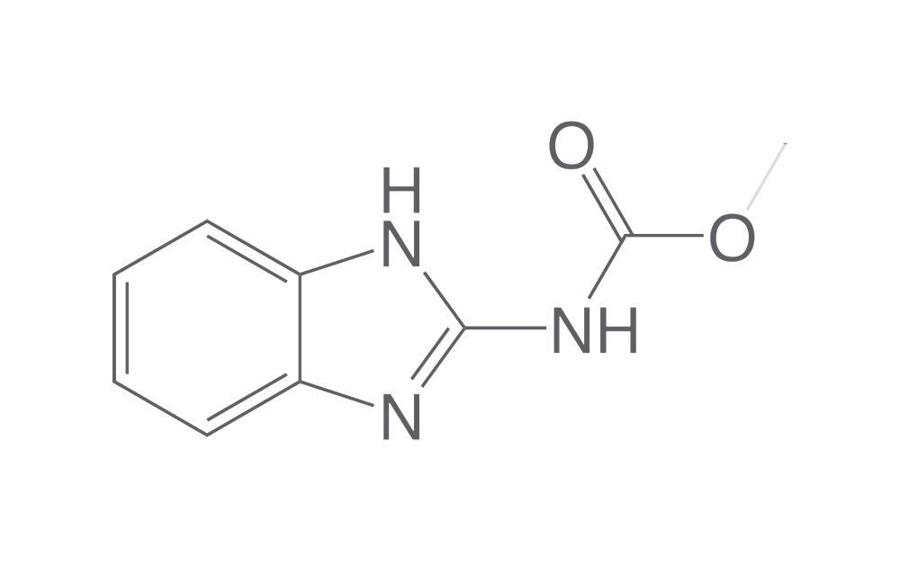 Carbendazim, ROTICHROM® Pestilyse® HPLC, 250 mg, glass - Luminix Health