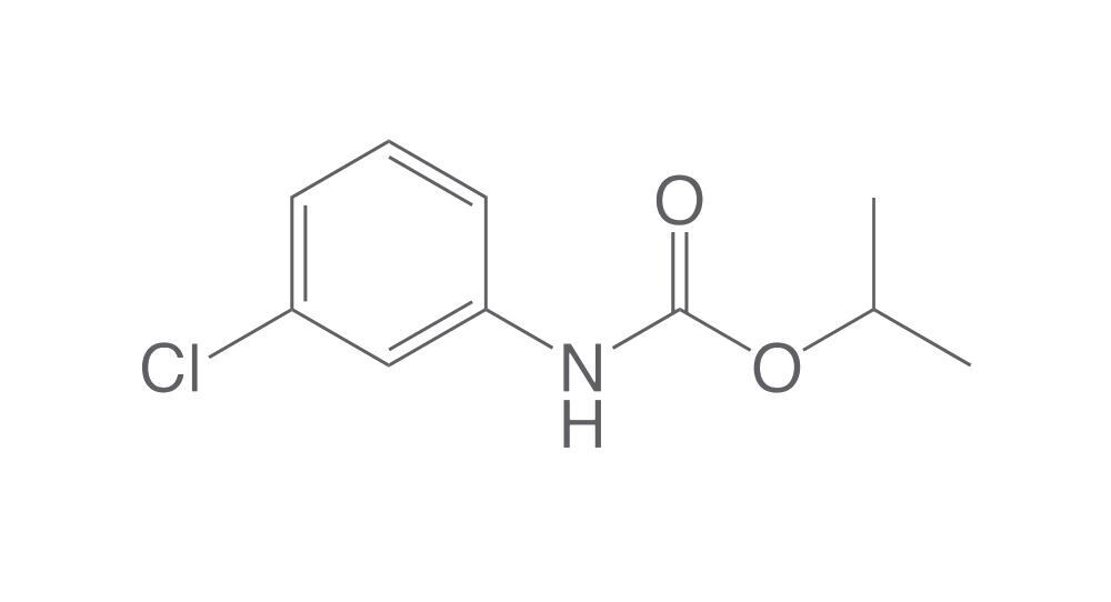 Image of Chlorpropham