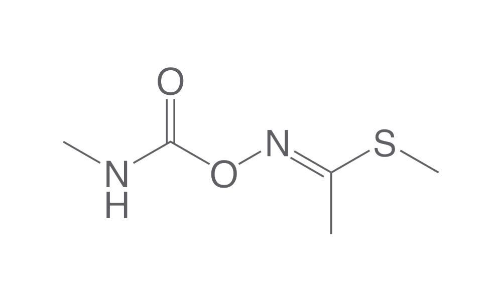 Methomyl, ROTICHROM® Pestilyse® HPLC, 100 mg, glass - Luminix Health
