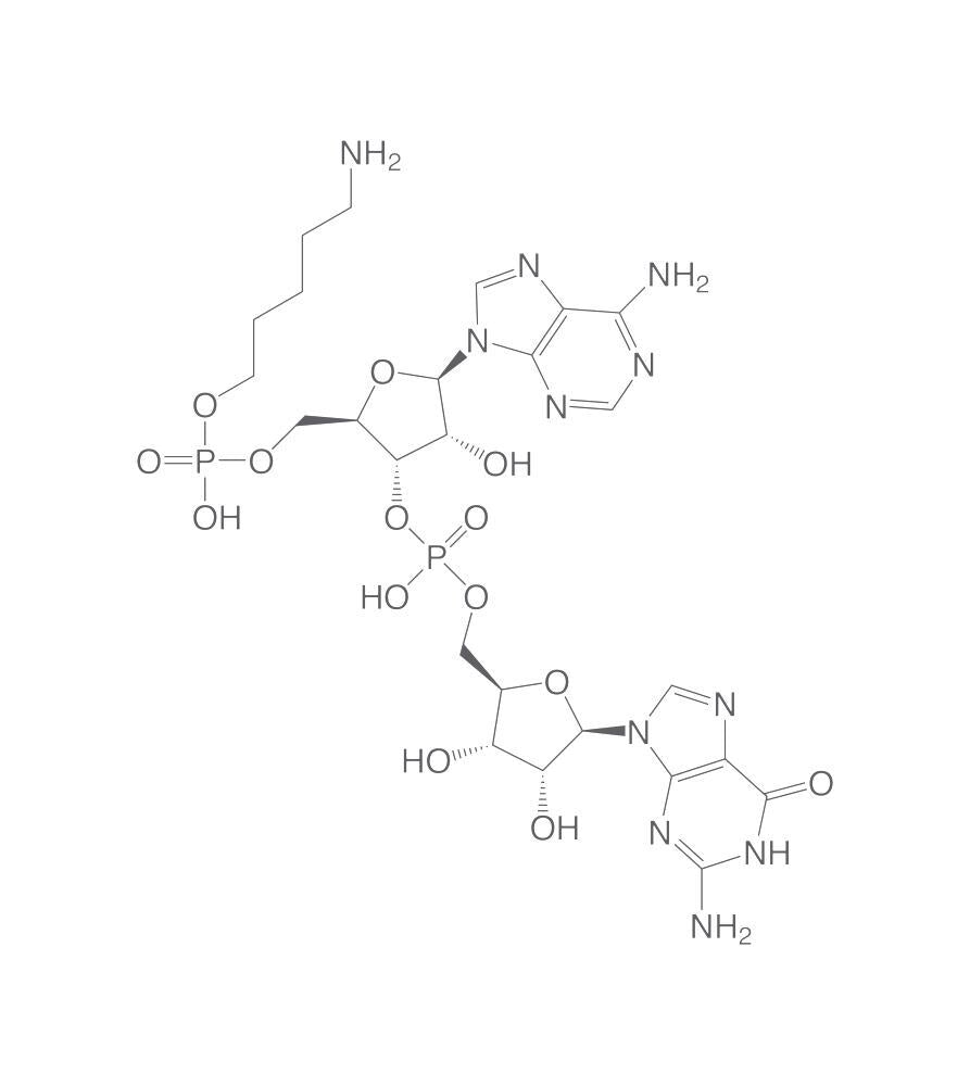 Amino-hexynyl-pApG, min. 95 %, 10 µl, plastic - Luminix Health