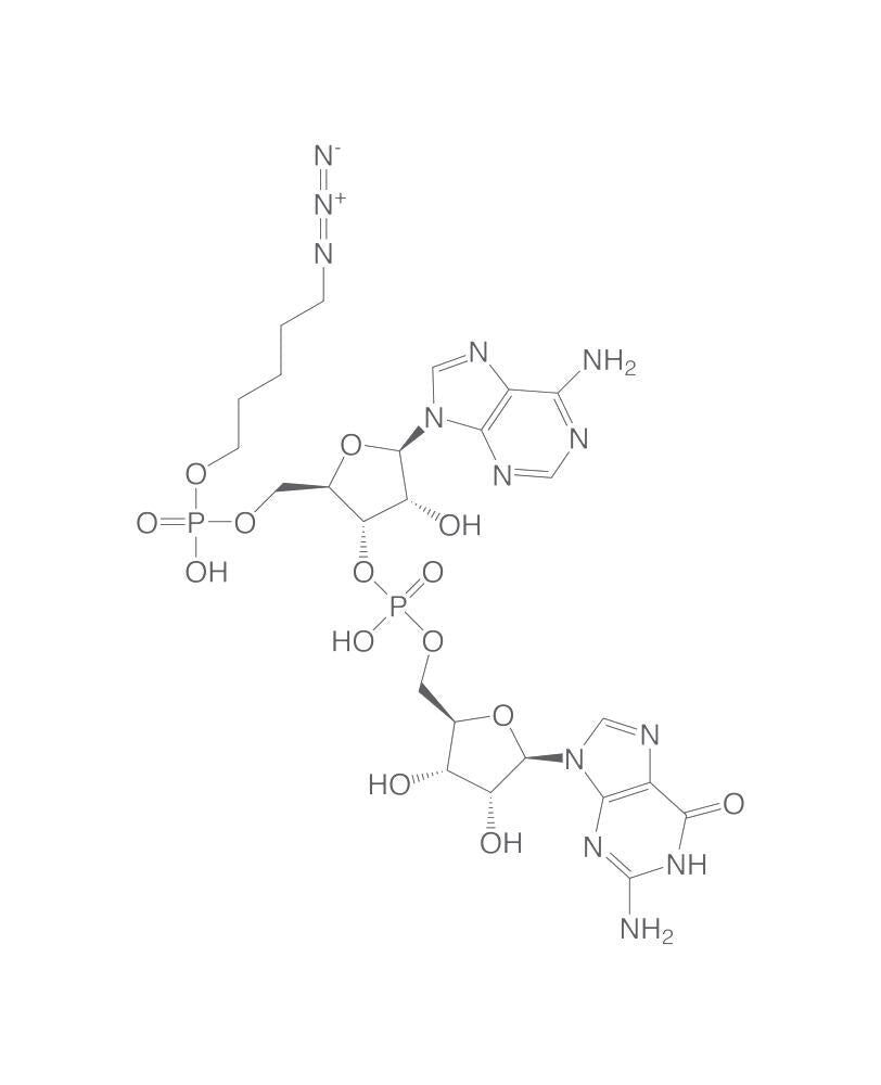 Azido-hexynyl-pApG, min. 95 %, 10 µl, plastic - Luminix Health