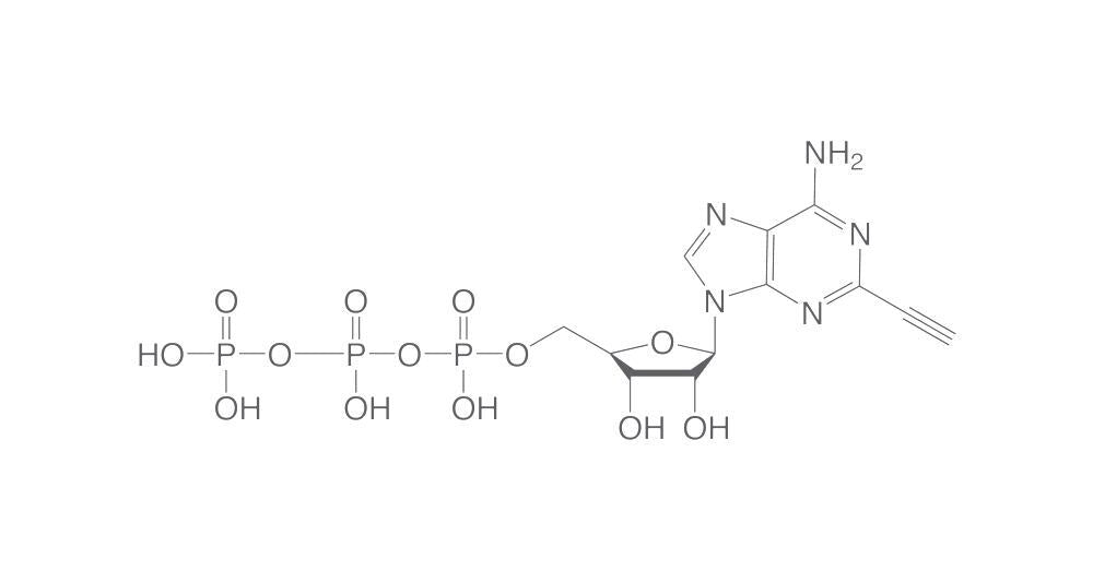 2-Ethynyl-ATP (2-EATP), min. 90 %, 10 µl, plastic - Luminix Health