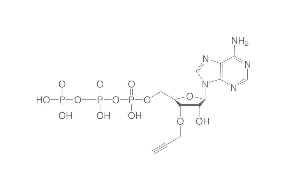 3'-(O-Propargyl)-ATP, min. 95 %, 10 µl, plastic - Luminix Health
