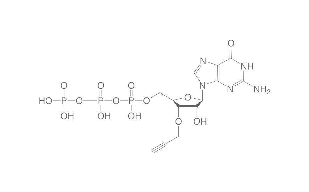 3'-(O-Propargyl)-GTP, min. 95 %, 10 µl, plastic - Luminix Health