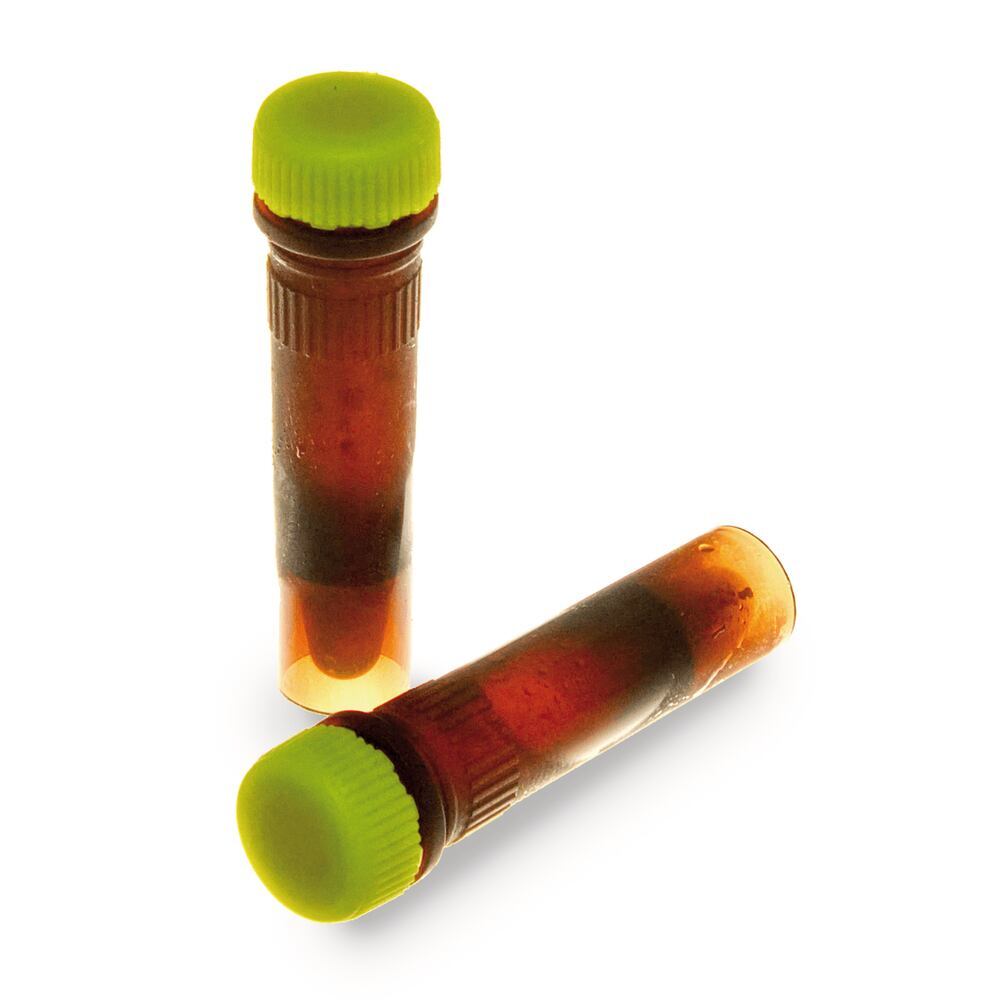 ROTI®Lux Probe qPCR Master Mix, low ROX, ready to use, 2x conc., 1 ml, plastic - Luminix Health