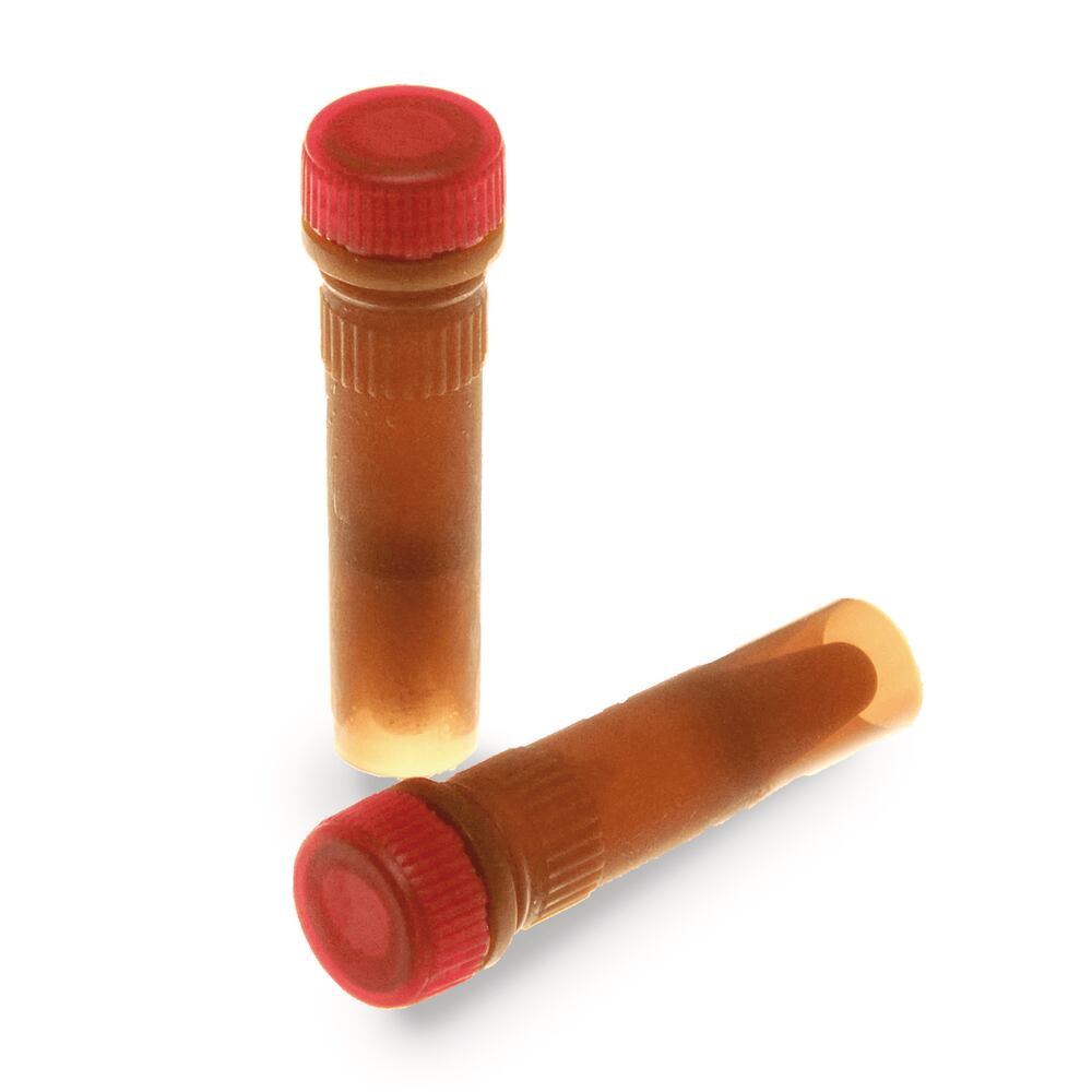 ROTI®Lux SYBR®Green qPCR Master Mix, Low ROX, ready to use, 2x conc., 1 ml - Luminix Health