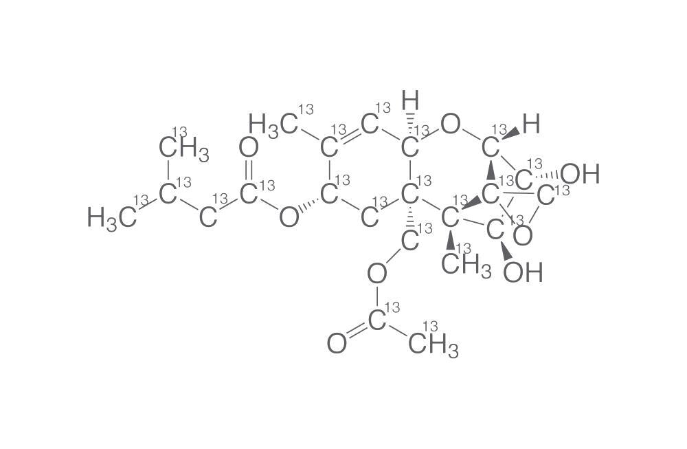 13C22-HT-2 Toxin, 25 µg/ml in acetonitrile, 1.2 ml, glass - Luminix Health