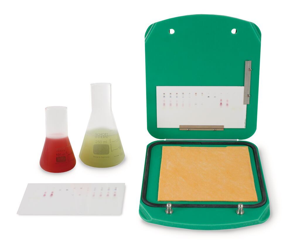 Derivapress Standard, Standard 20x20 cm, 1 unit(s) - Luminix Health