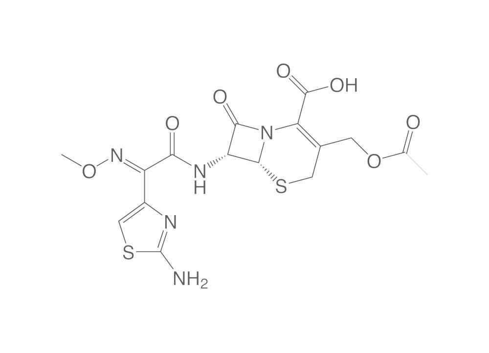 Cefotaxime sodium salt , 914 - 964 µg/mg dreid basis, USP, 1 g, glass - Luminix Health
