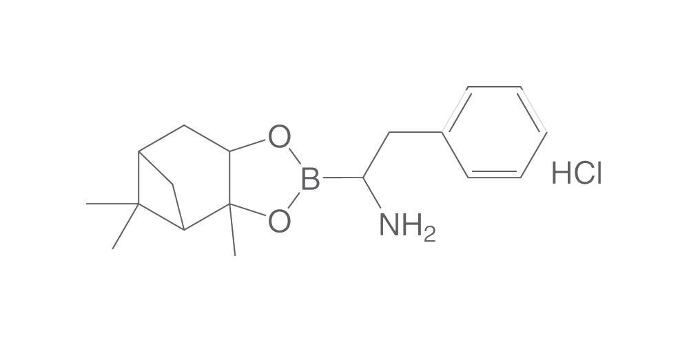 Image of (R)-BorPhe-(+)-pinanediol hydrochloride