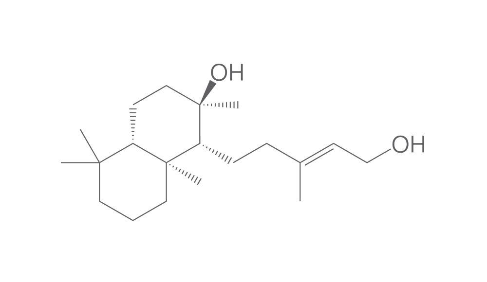 (E)-Labd-13-ene-8,15-diol, min. 95 %, 10 mg - Luminix Health