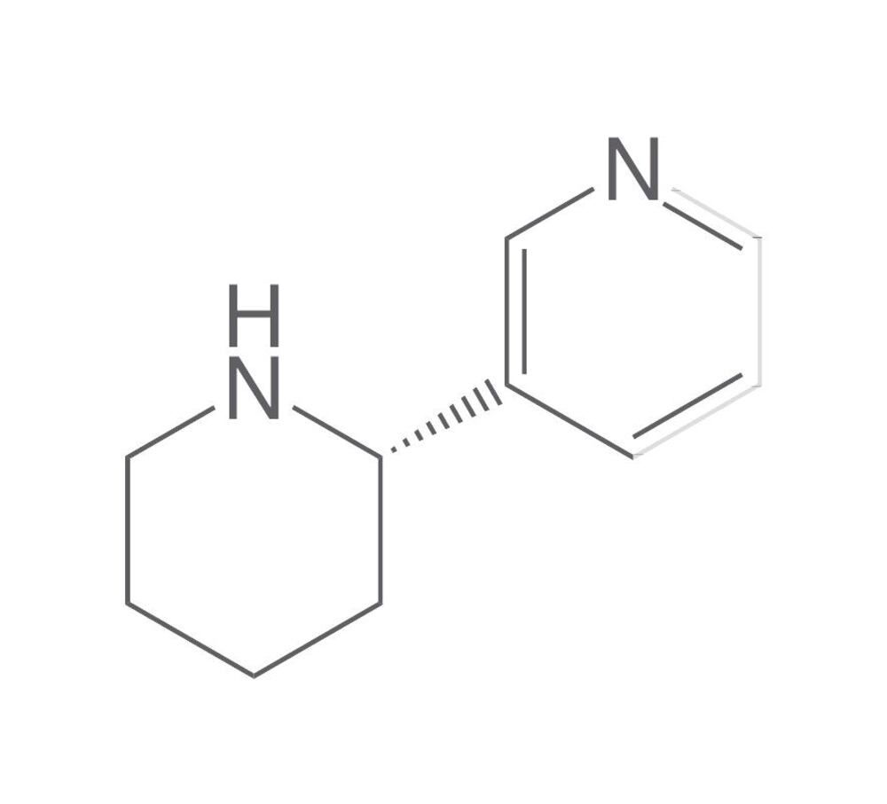 (S)-Anabasine, min. 95 %, 50 mg - Luminix Health