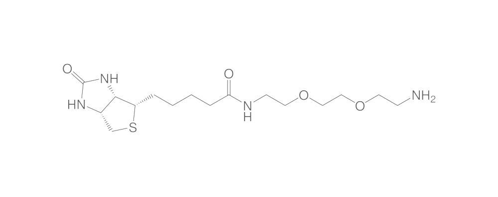 (+)-Biotin-(PEO)3-amine, 25 mg - Luminix Health