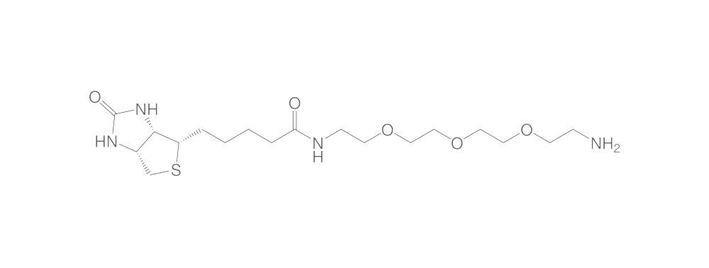 (+)-Biotin-(PEO)4-amine, min. 95 %, 50 mg - Luminix Health