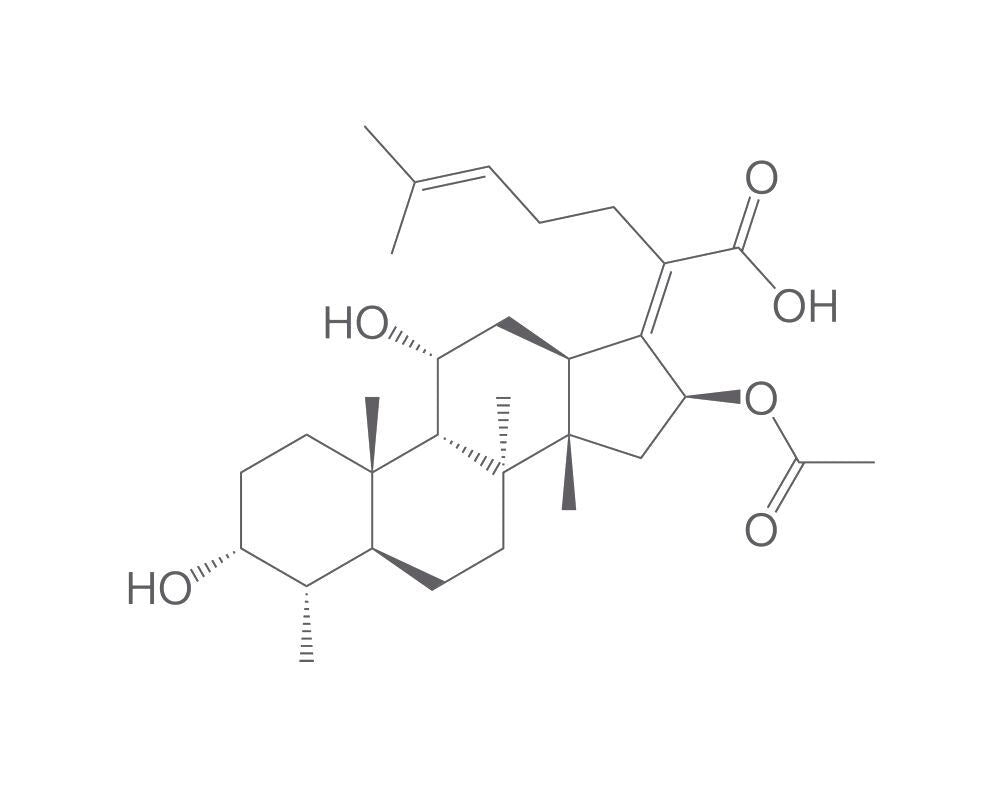 Fusidic acid, 10 g - Luminix Health