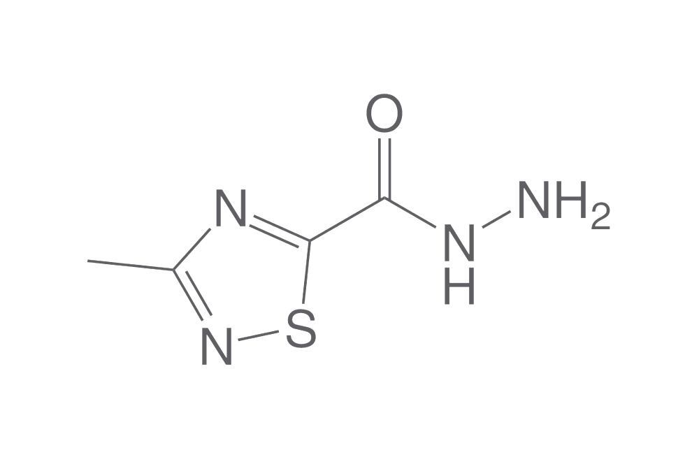 3-Methyl-1,2,4-thiadiazole-5-carbohydraz, ide, 100 mg - Luminix Health