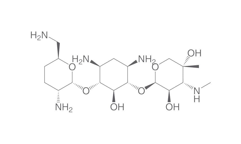 Gentamicin C1a, 10 g - Luminix Health