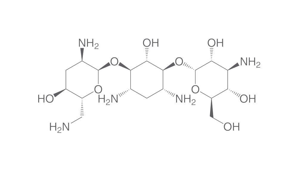 Tobramycin, 10 g - Luminix Health
