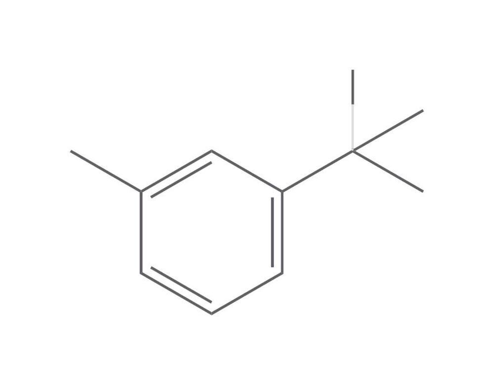 3-tert-Butyltoluene, min. 95 %, 500 mg - Luminix Health
