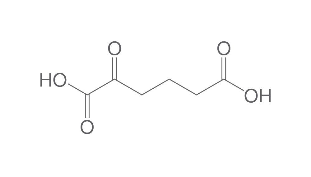 Image of 2-Oxoadipic acid