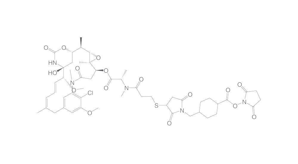 SMCC-DM1, min. 95 %, 2 mg - Luminix Health