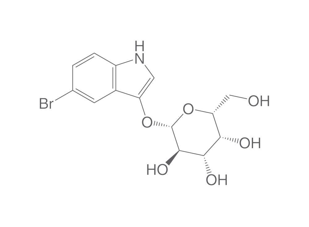 5-Bromo-3-indolyl b-D-galactopyranoside, 2 g - Luminix Health