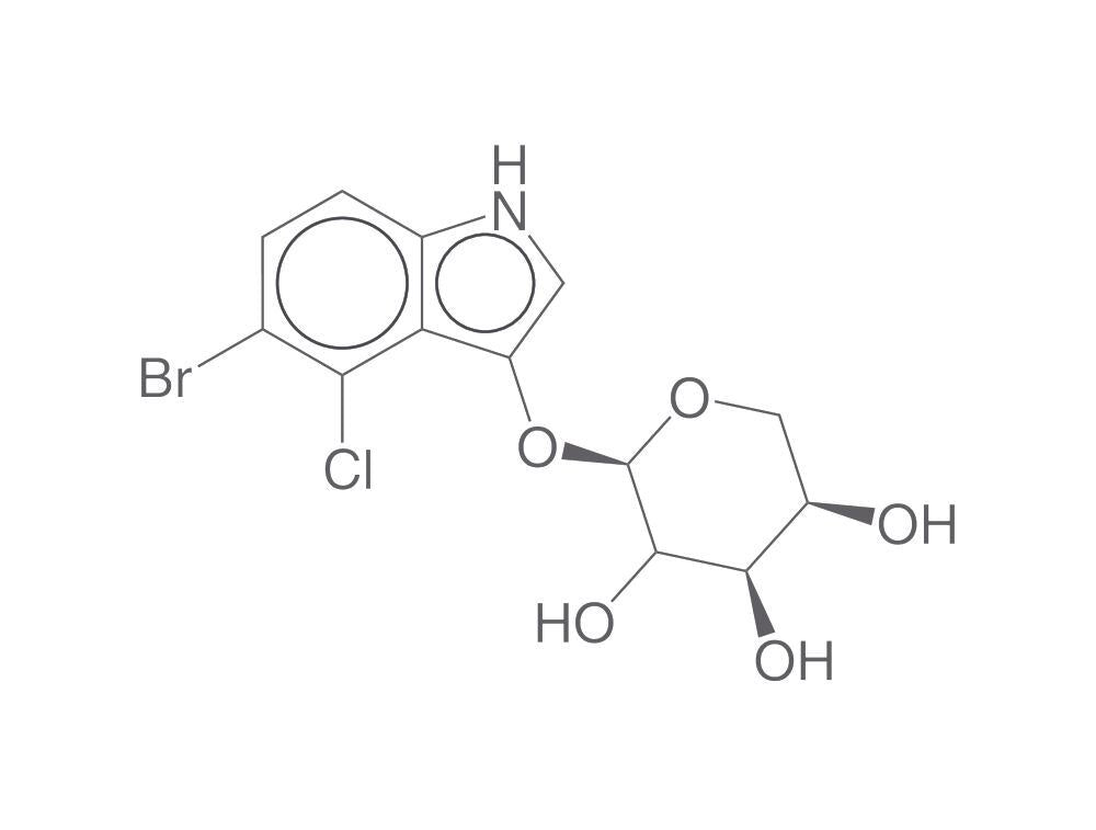 Image of 5-Bromo-4-chloro-3-indolyl a-D-xylopyran