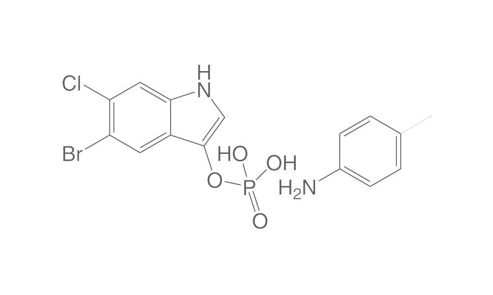 5-Bromo-6-chloro-3-indolyl phosphate p-t, oluidine salt, 2 g - Luminix Health