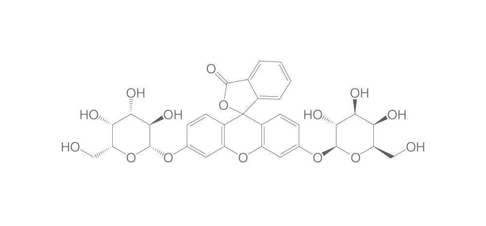 Fluorescein di-beta-D-galactopyranoside, 5 mg - Luminix Health