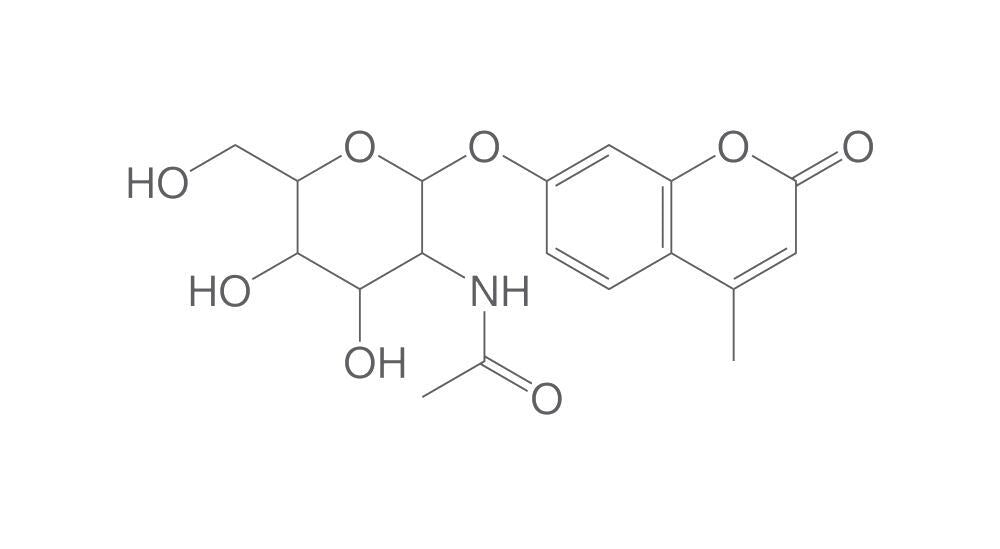 Image of 4-Methylumbelliferyl 2-acetamido-2-deoxy